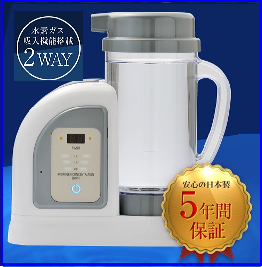 ルルドハイドロフィクス